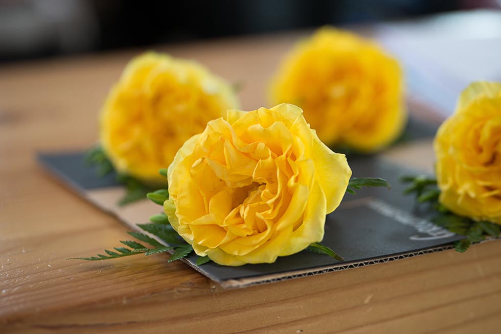 yellow corsages