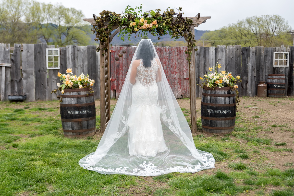 Behind view of brides dress
