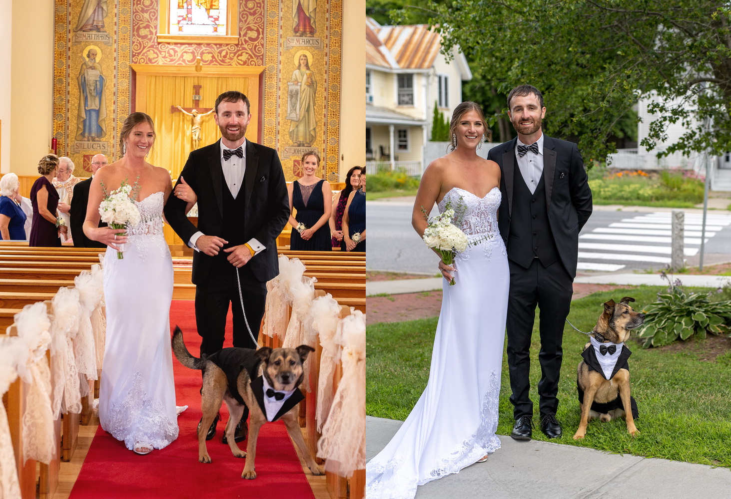 wedding dog